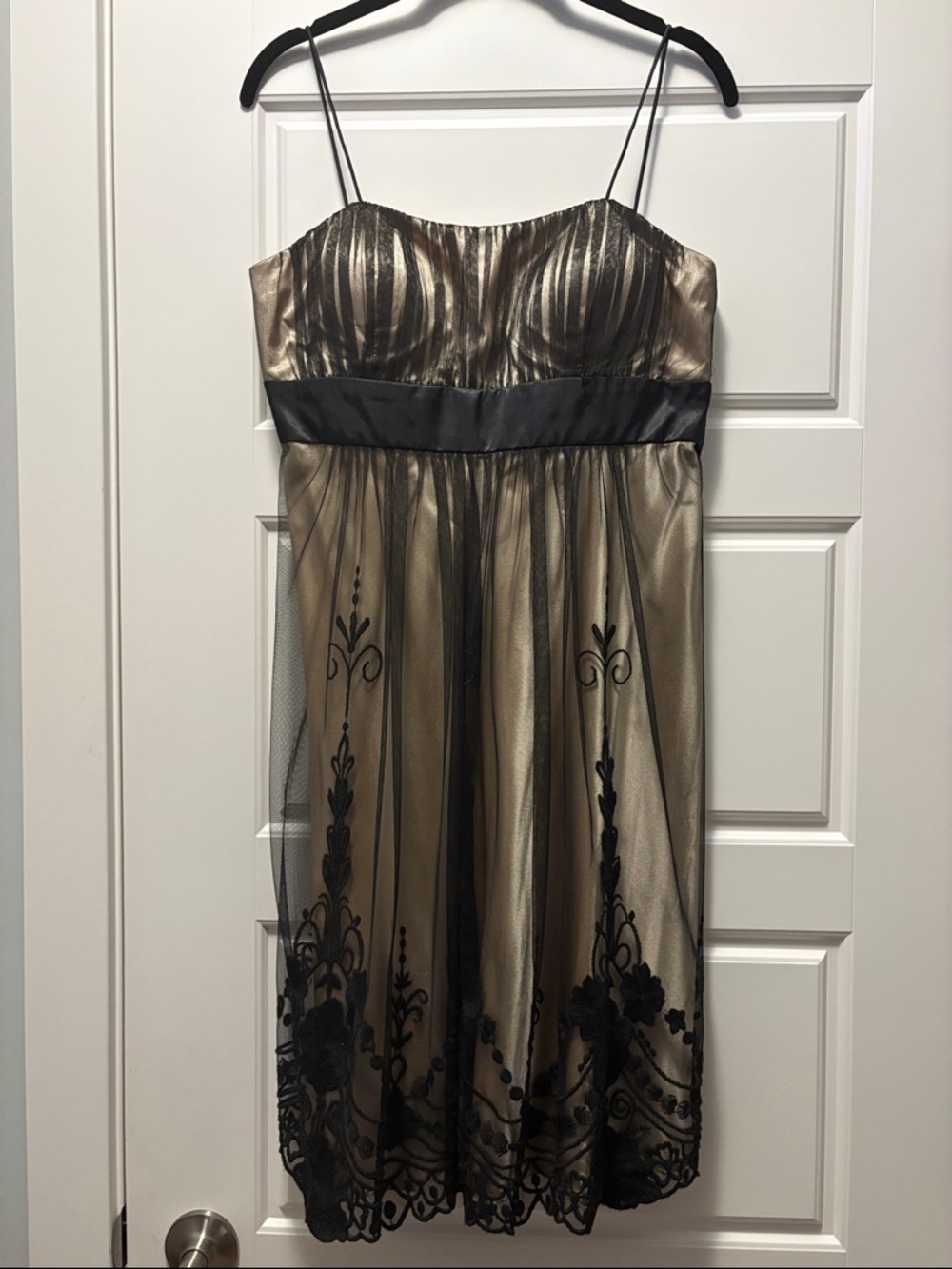 ✨ Dressbarn Collection Elegant Embroidered Mesh Dress Size 8 ✨ - Picture 4 of 9